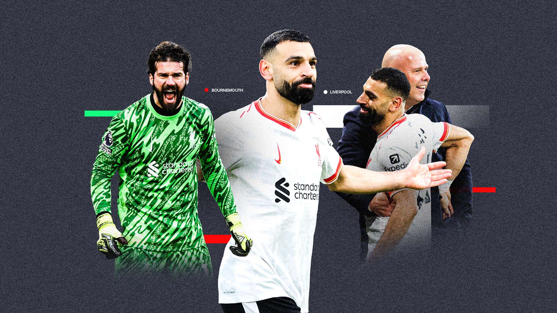 关注平台的 关注平台的